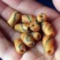 Африканские стеклянные бусины Кробо - African Ghana Krobo Beads. Лот из десяти б