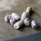 Африканские стеклянные бусины Кробо - African Ghana Krobo Beads. Лот из восьми б